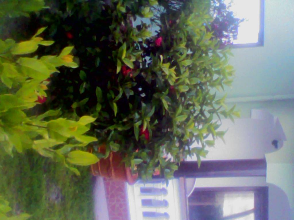 Maison Belle Baie Baie Sainte Anne Dış mekan fotoğraf